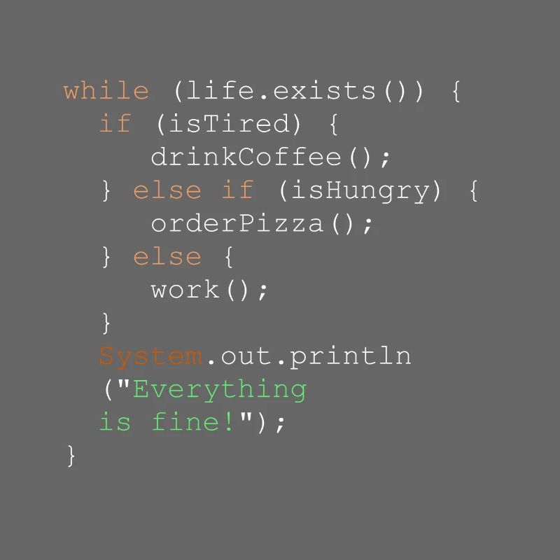 Programming, programmer and program code