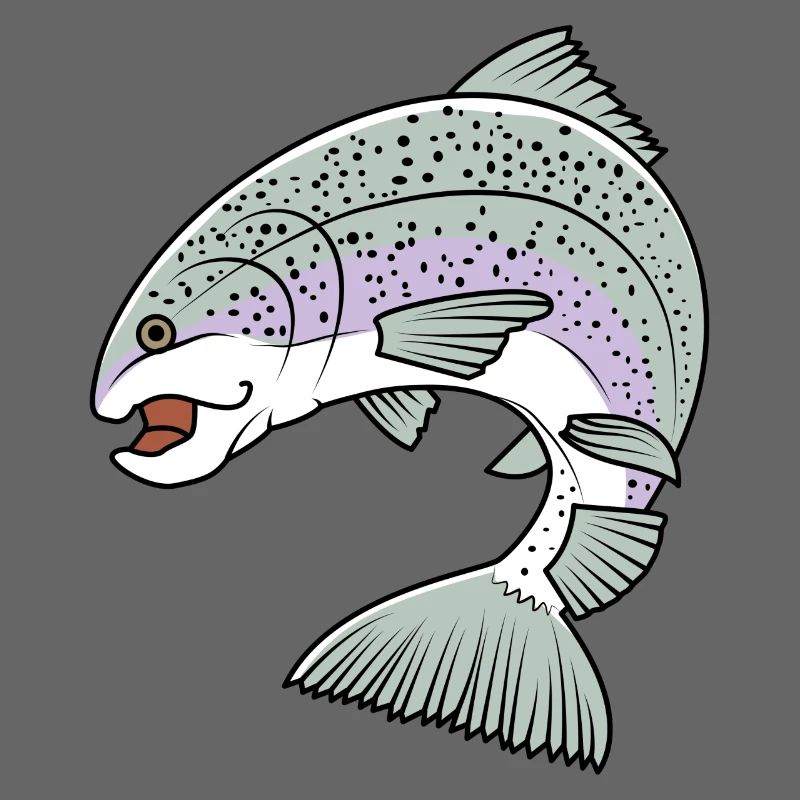 Regenbogenforelle / Rainbow Trout