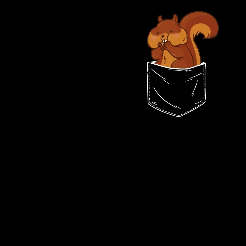Eichhörnchen Baumhörnchen Squirrel