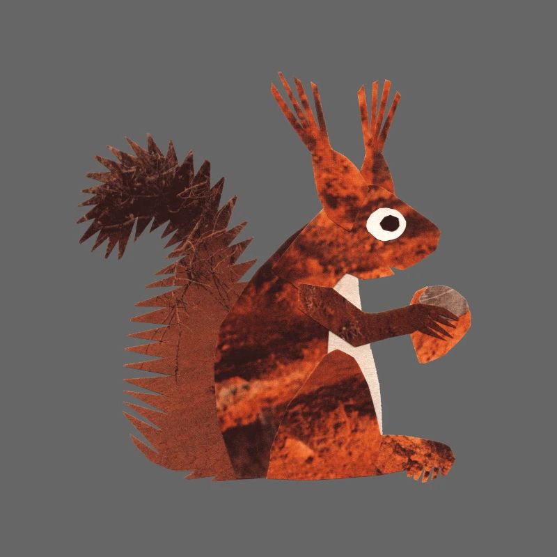 squirrel