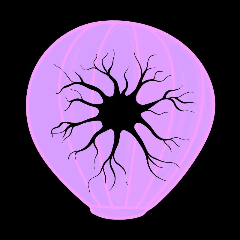 Biologie Evolution Studium