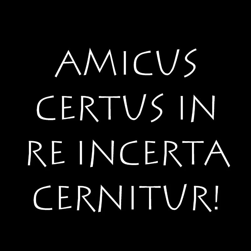 Amicus certus in re incerta cernitur