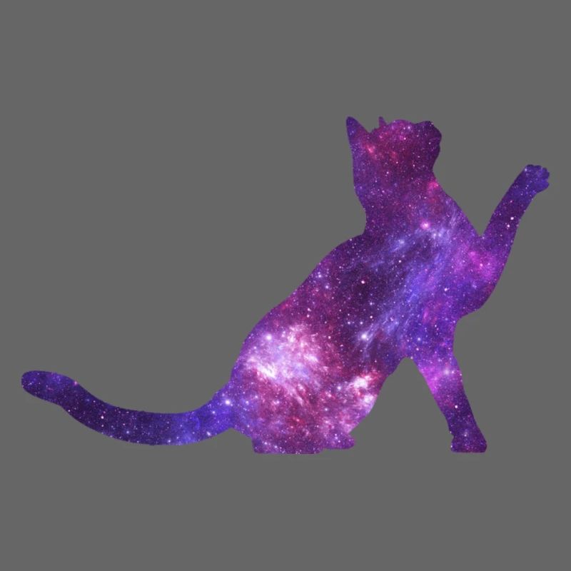 Chat de l’espace