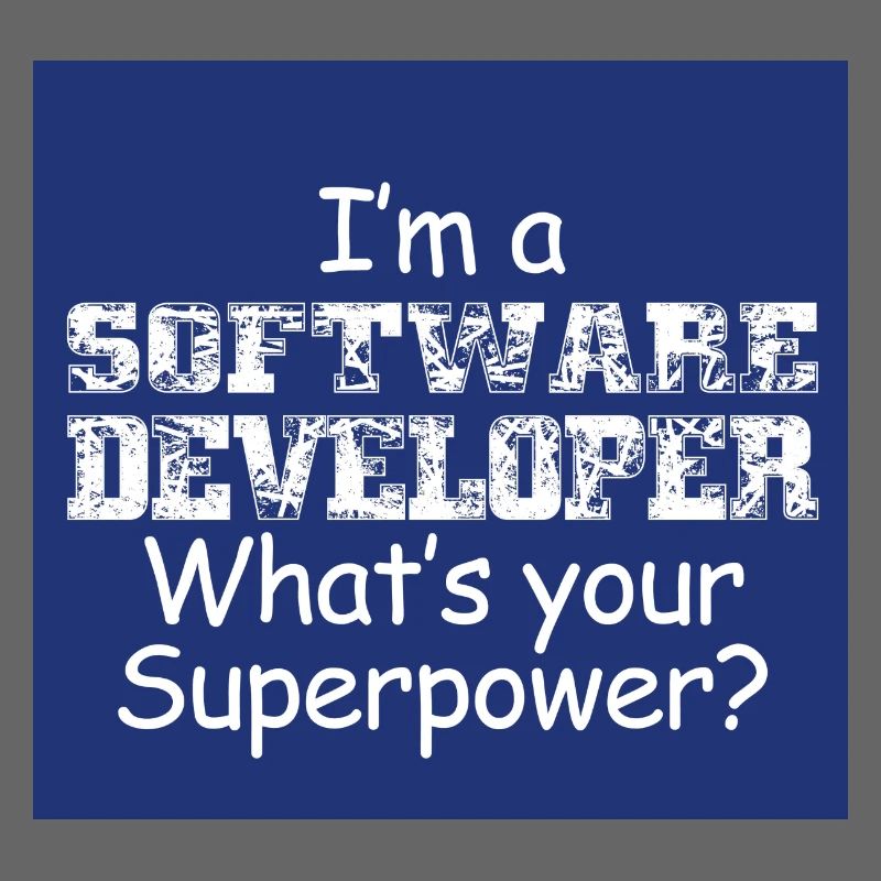 Software Developer
