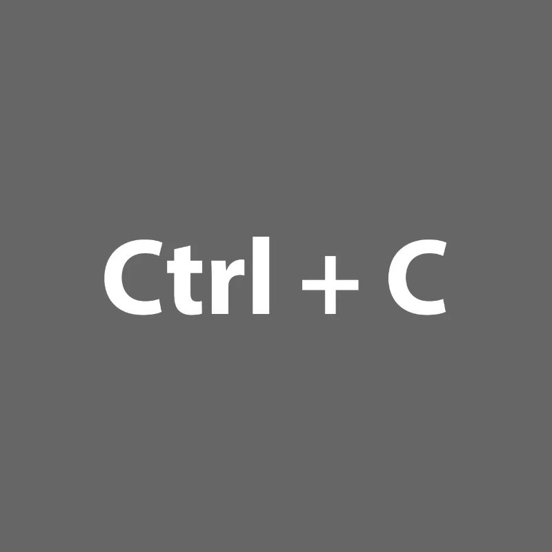 Ctrl Ctrl V Copy Paste Twins