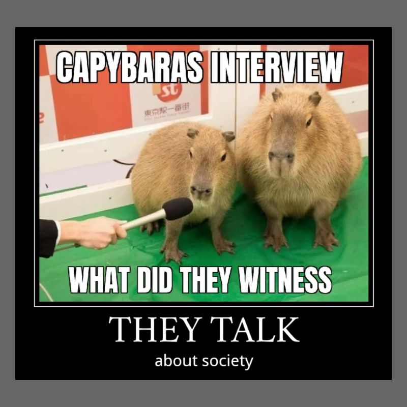 Capybara Interview meme