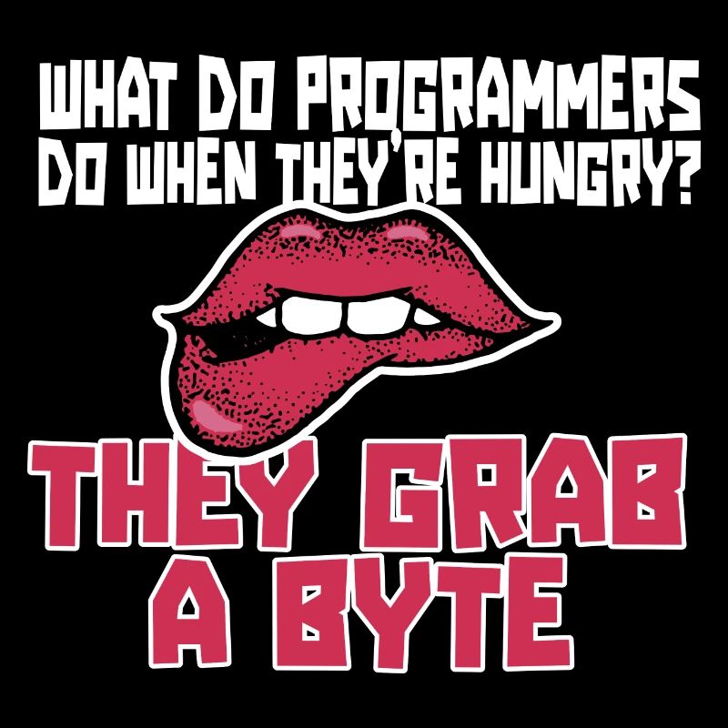 Programmer Coder Software Developer