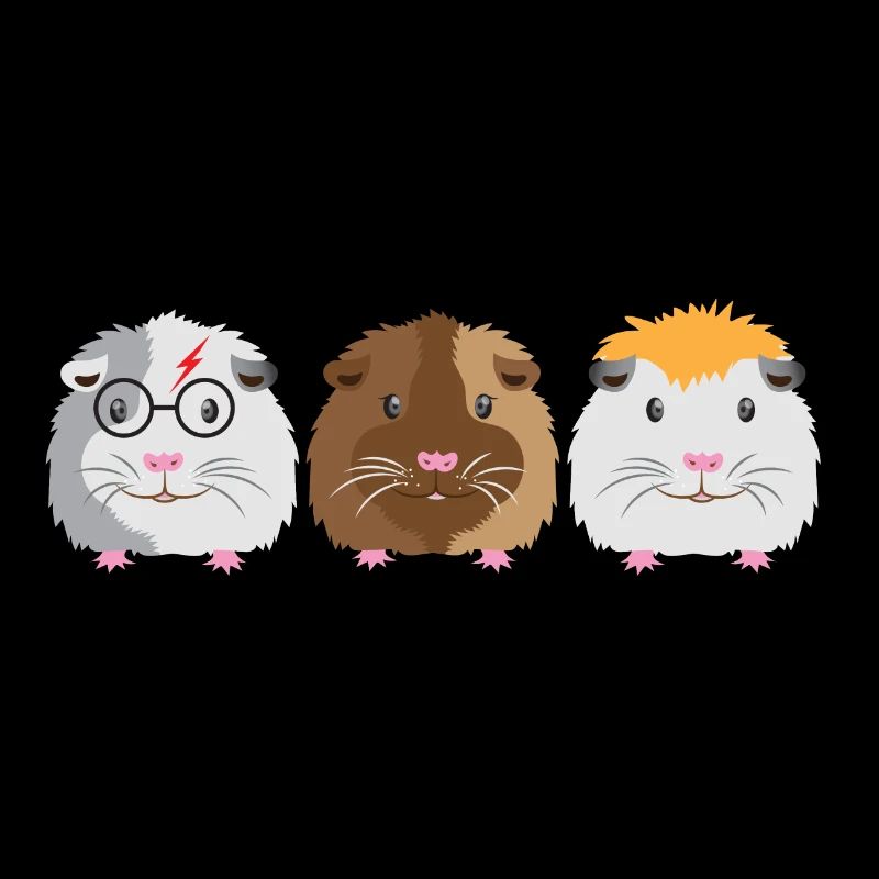 Trois petits cochons d'Inde