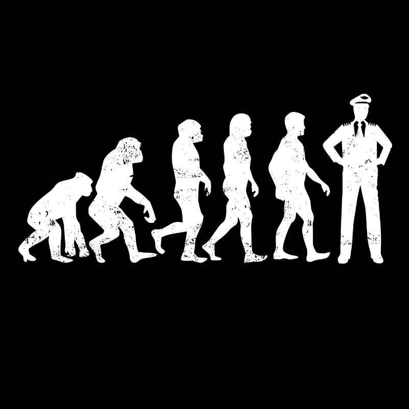 Evolution Pilot Airplane