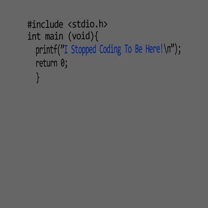 I stopped coding to be here. program