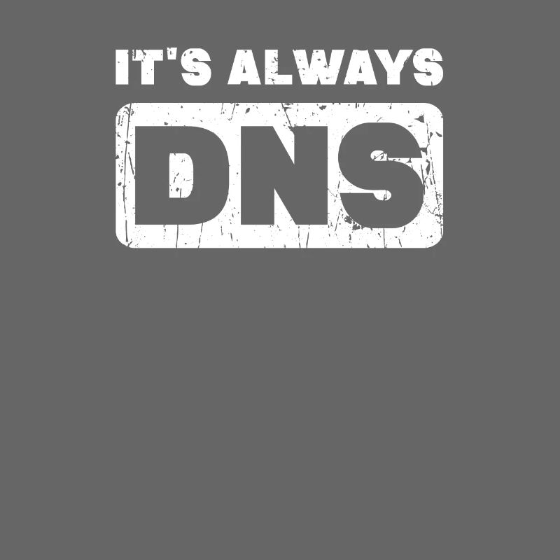 It's always DNS - information technology