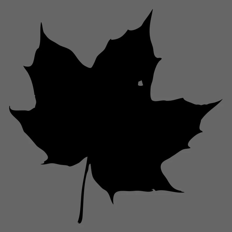 leaf 07