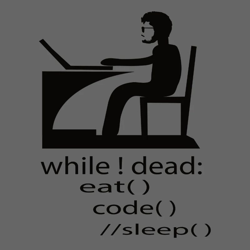 Software Developer Programmer Gift