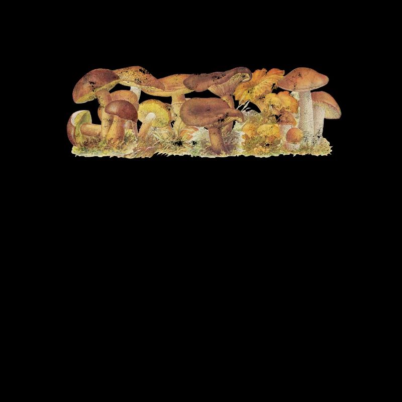 Type de champignons - science