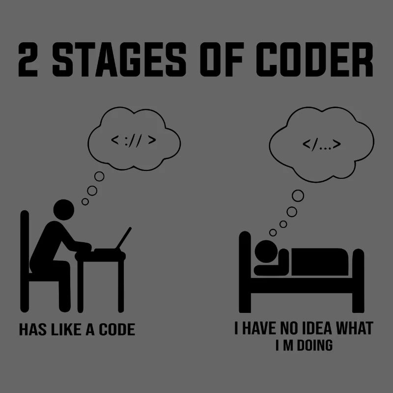2 Stufen des Programmierers - Geschenkidee Humor Code Codierung