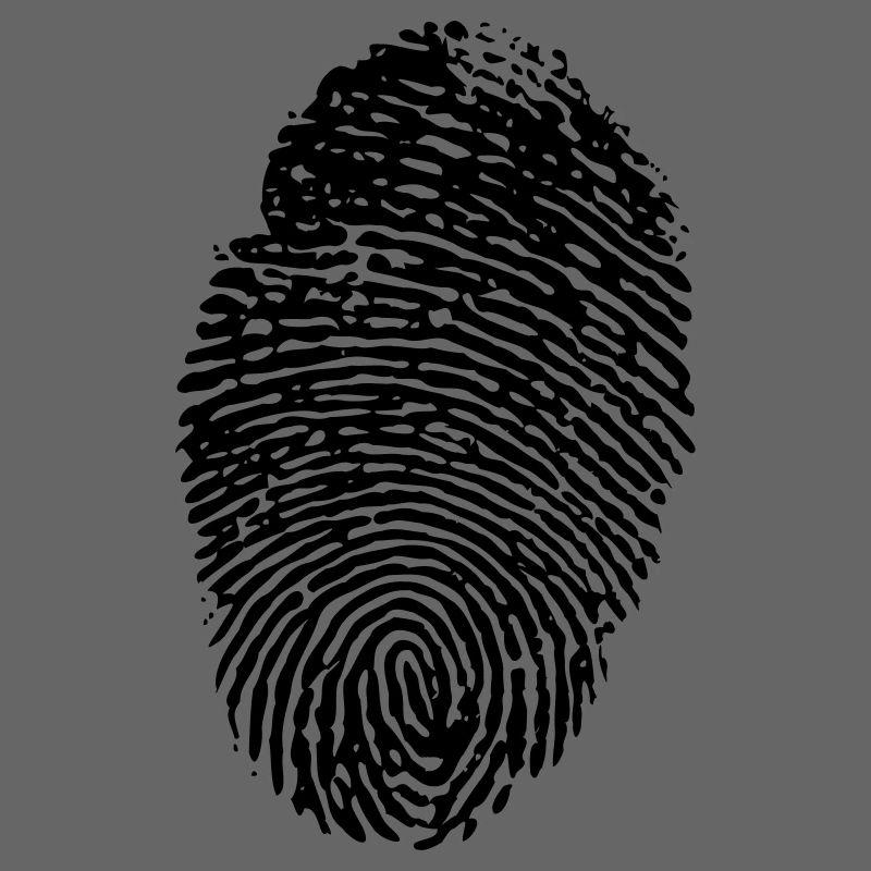 fingerprint plain invert