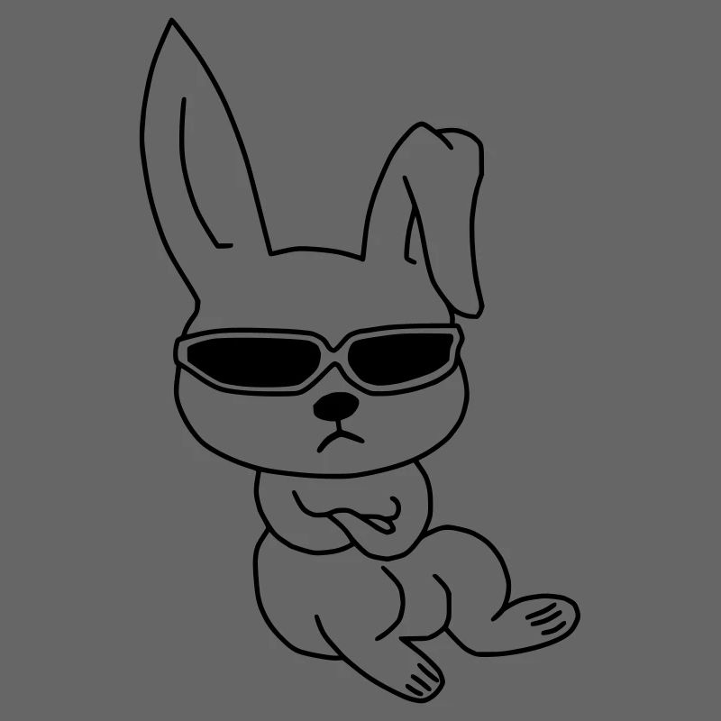 Cool Rabbit