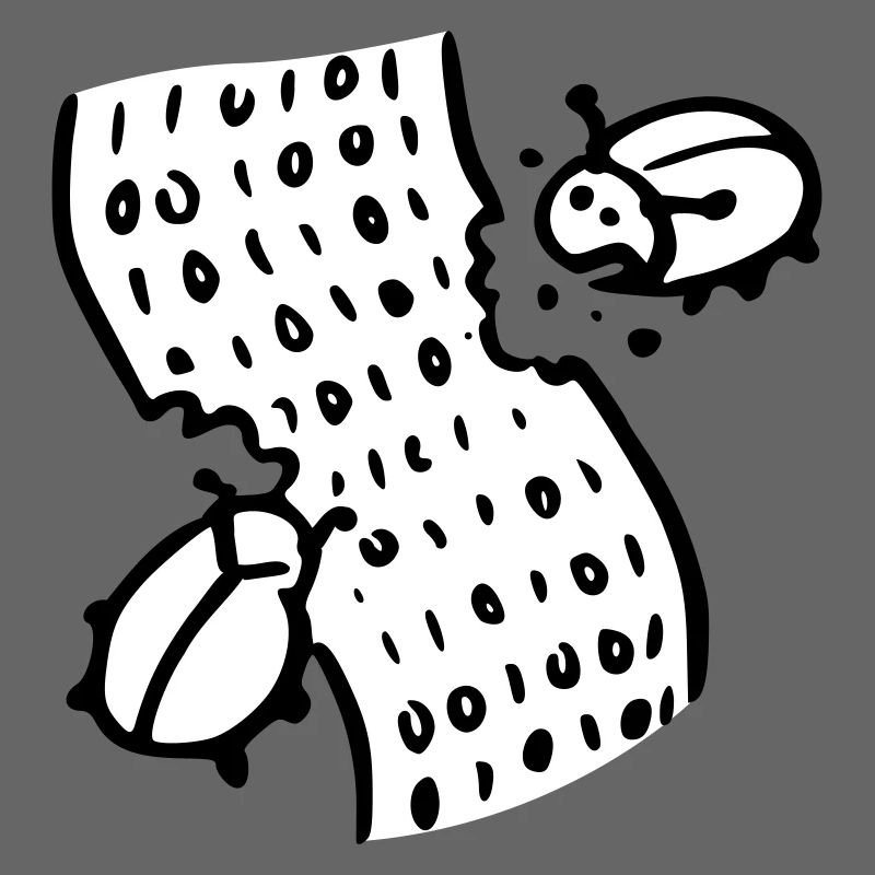 code bugs software