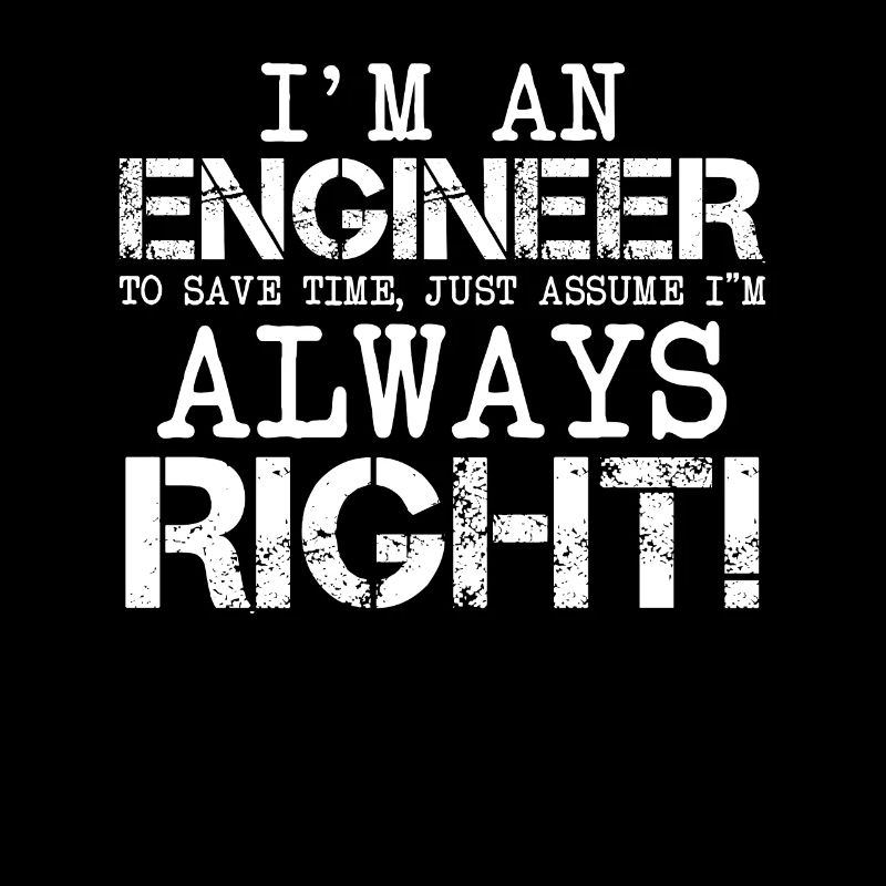 I m An Engineer Save Time Always Assume I m Right