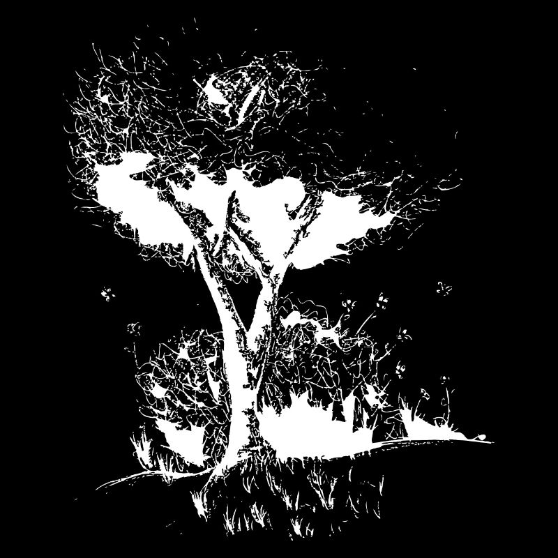 Baum