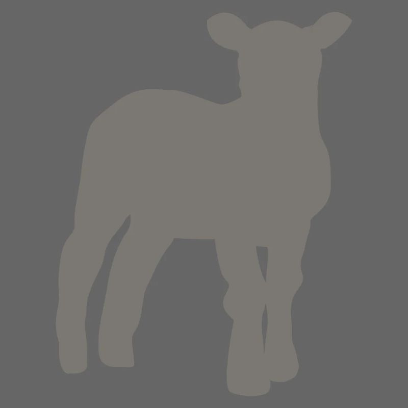 lamb