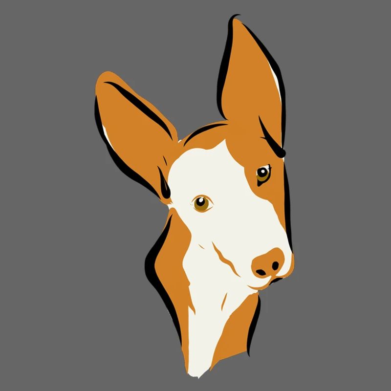 Podi