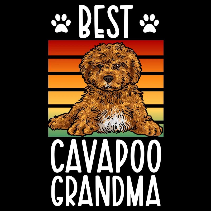 Cavapoo Cavoodle Capoodle Chien