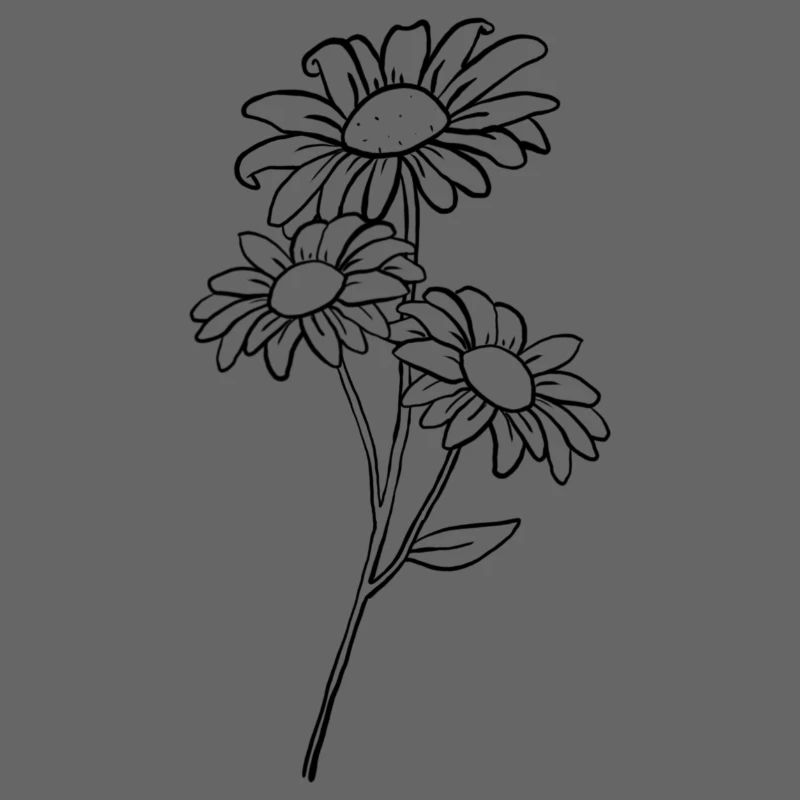Gänseblümchen / Daisy