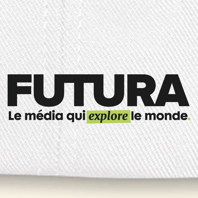 Le mandrill est victime de la déforestation