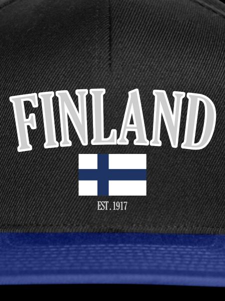 Finnland seit 1917