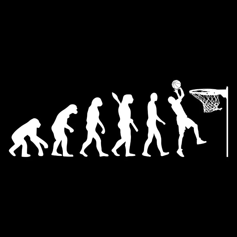 Jeu de basket-ball Evolution