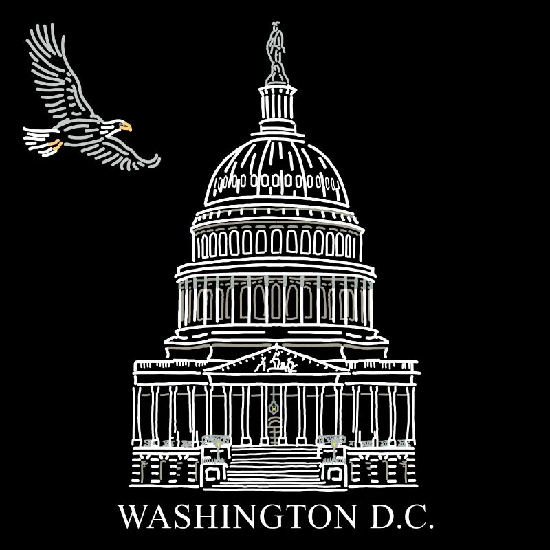 Washington D.C., Capitol Structure, Bald Eagle