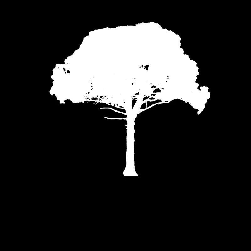 TREE white