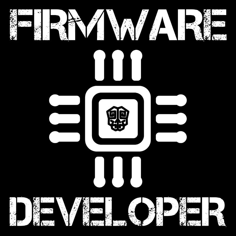 Firmware developer