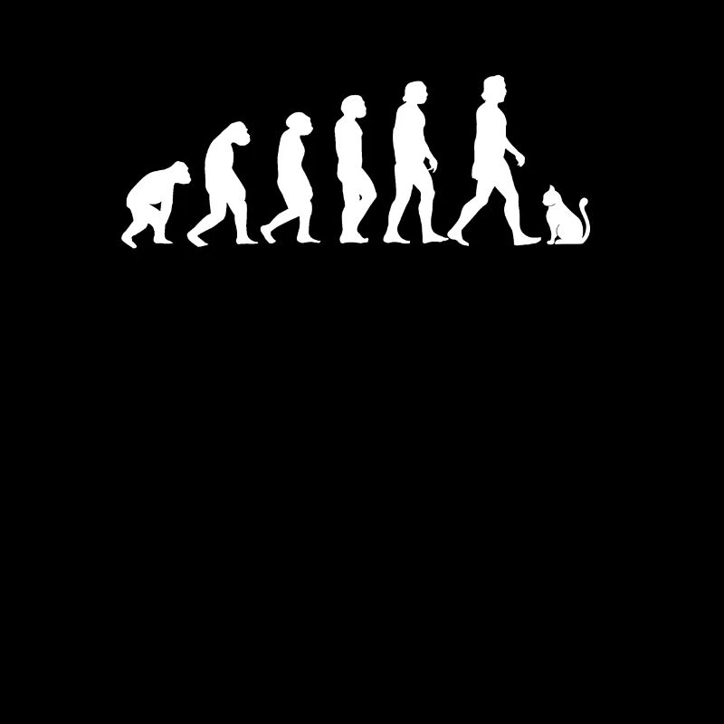 Cats Evolution