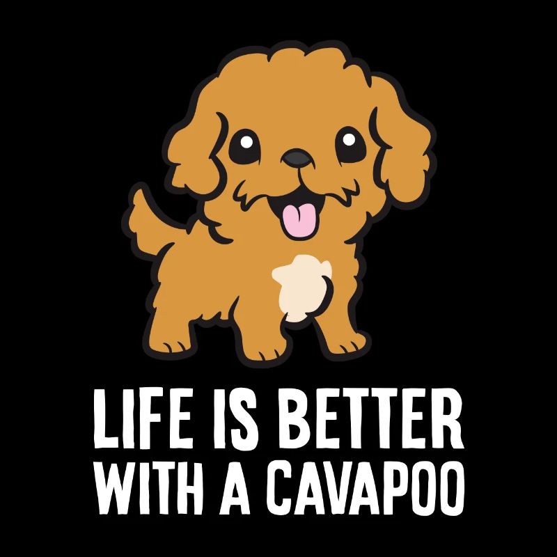 Cavapoo Haustier Hund Das Leben ist besser mit