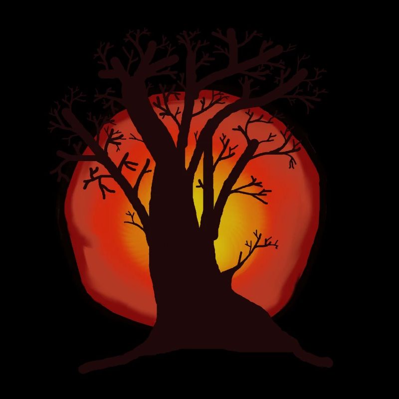 Tree, Sun, Sunset, Sunrays, Forest