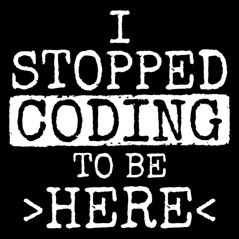 Software Ingenieur Informatiker Programmierer