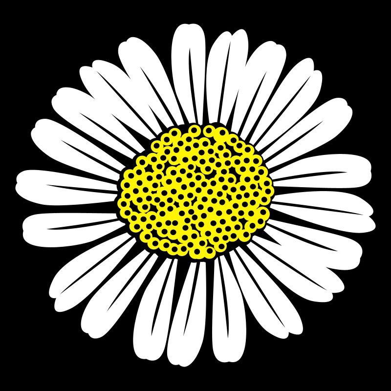 Gänseblümchen