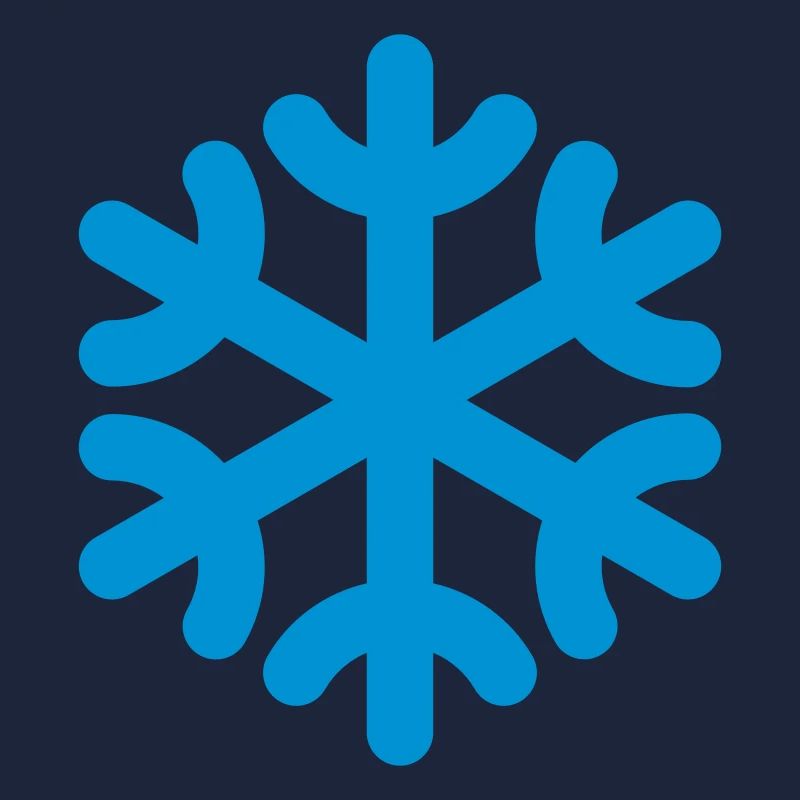snowflake / fiocco di neve / flocon de neig / copo