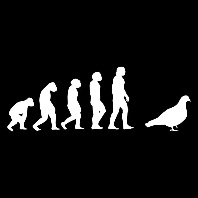 Evolution Taubenzüchter