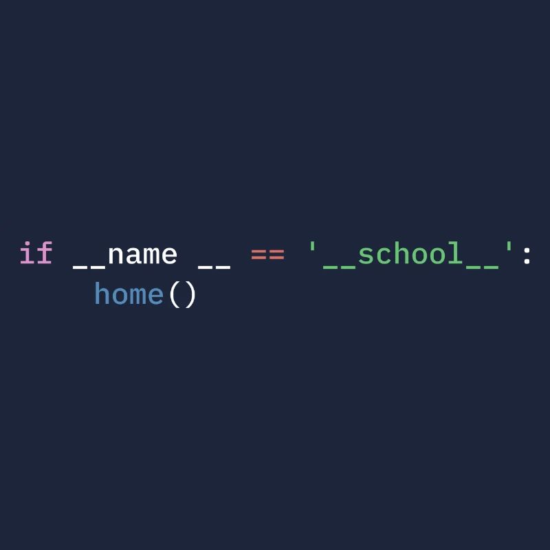 Python Programmeur École Étudiant Drôle