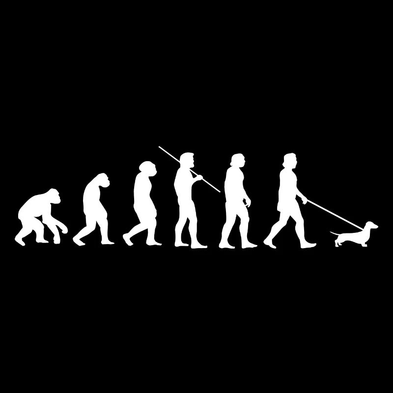 Dachshund evolution dachshund dachshund gift idea