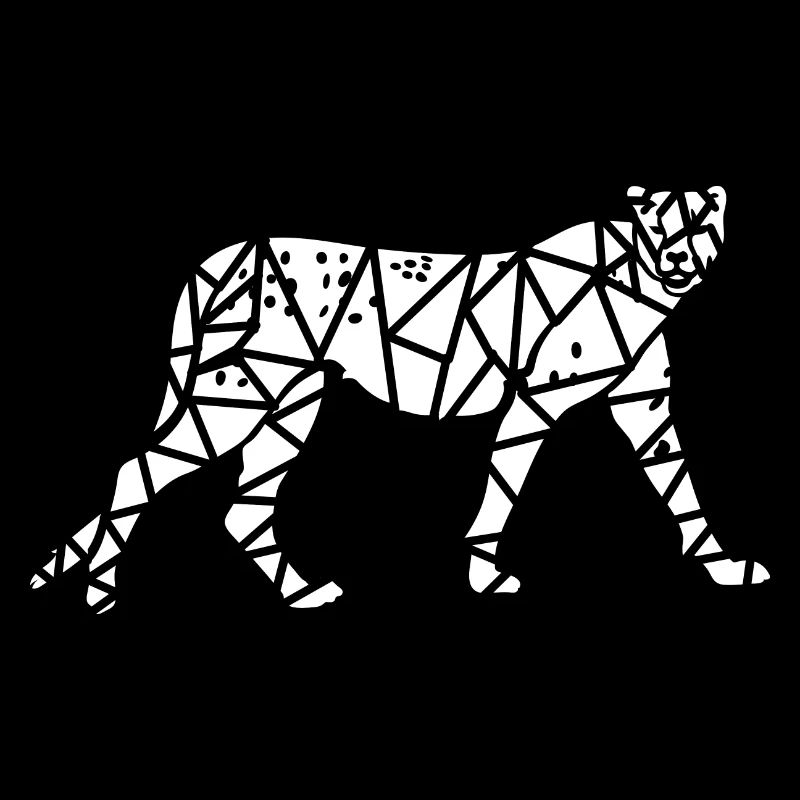 Cheetah-Code