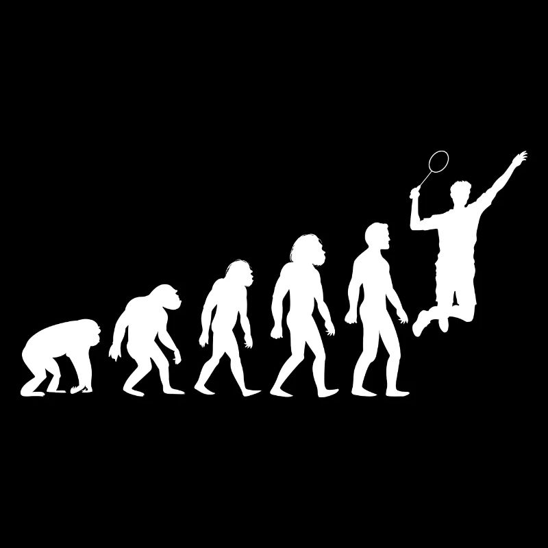 Badminton Badminton Evolution Cadeau