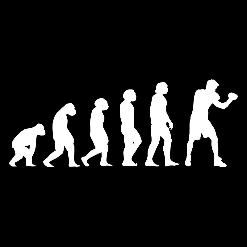 Sport Evolution Boxe