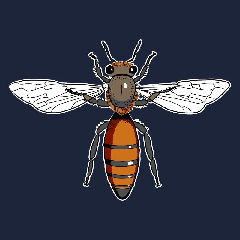 Queen Bee Bee Honey Bee Bee Beekeeper 1