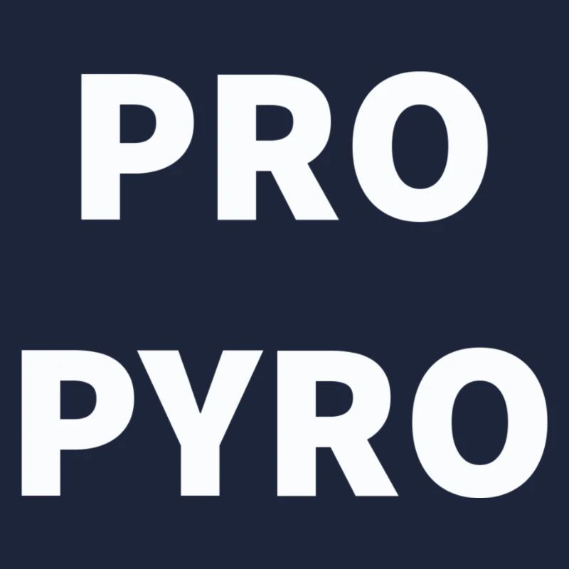 Pro Pyro - Schriftzug