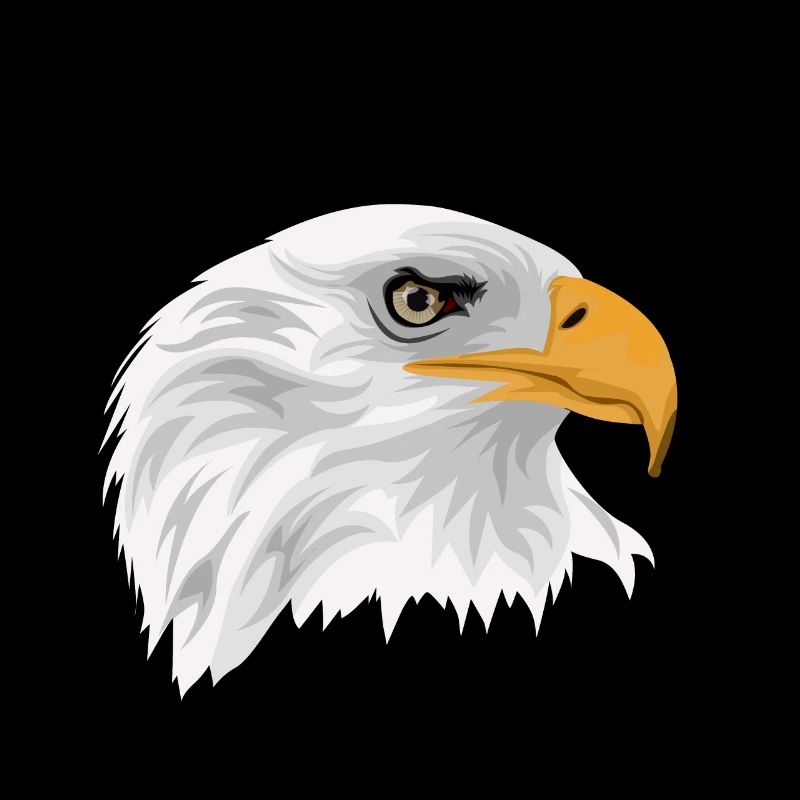 Bald eagle head with beak as a drawing