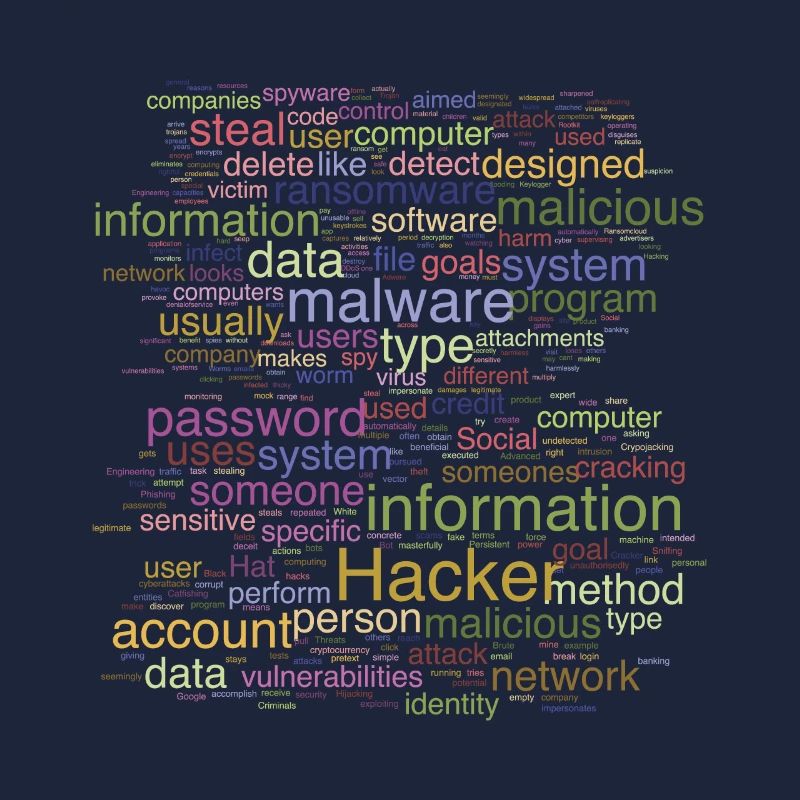 Cybersécurité Programmation informatique